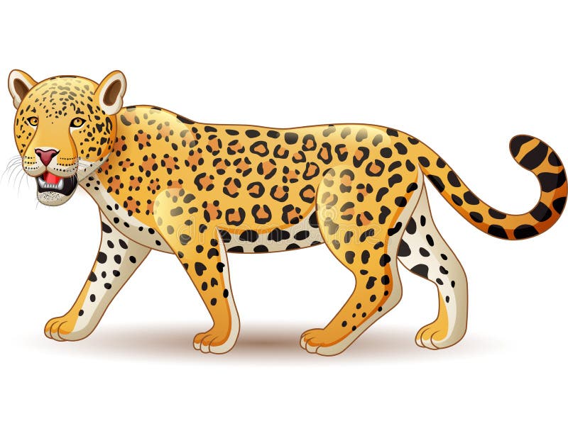 Cartoon Leopard Isolated on White Background Stock Vector - Illustration of jungle, cartoon: 139353124 Cartoon Leopard Isolated on White Background Stock Vector - Illustration of jungle, cartoon: 139353124