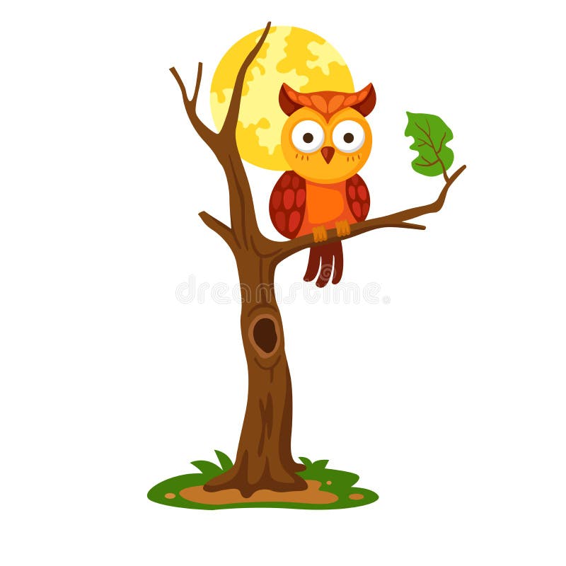 Cartoon owl on a tree stock vector. Illustration of birdsong - 161781189 Cartoon owl on a tree stock vector. Illustration of birdsong - 161781189