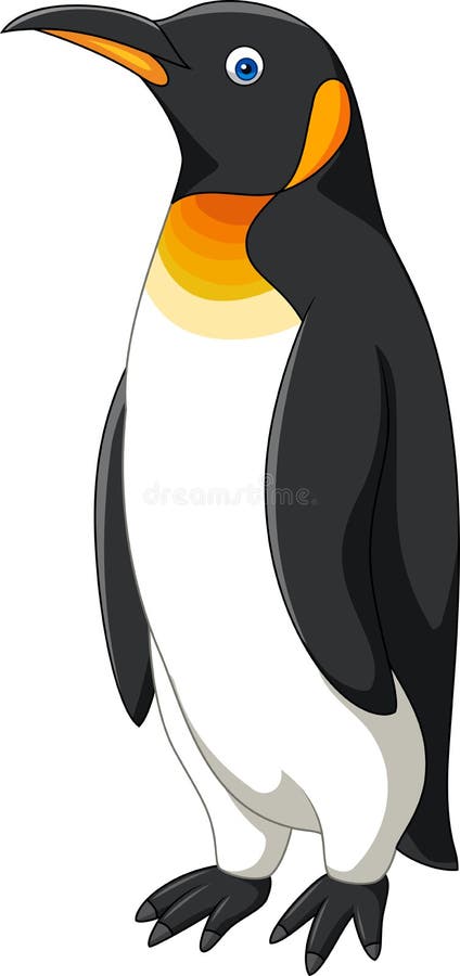 Cartoon penguin on white background