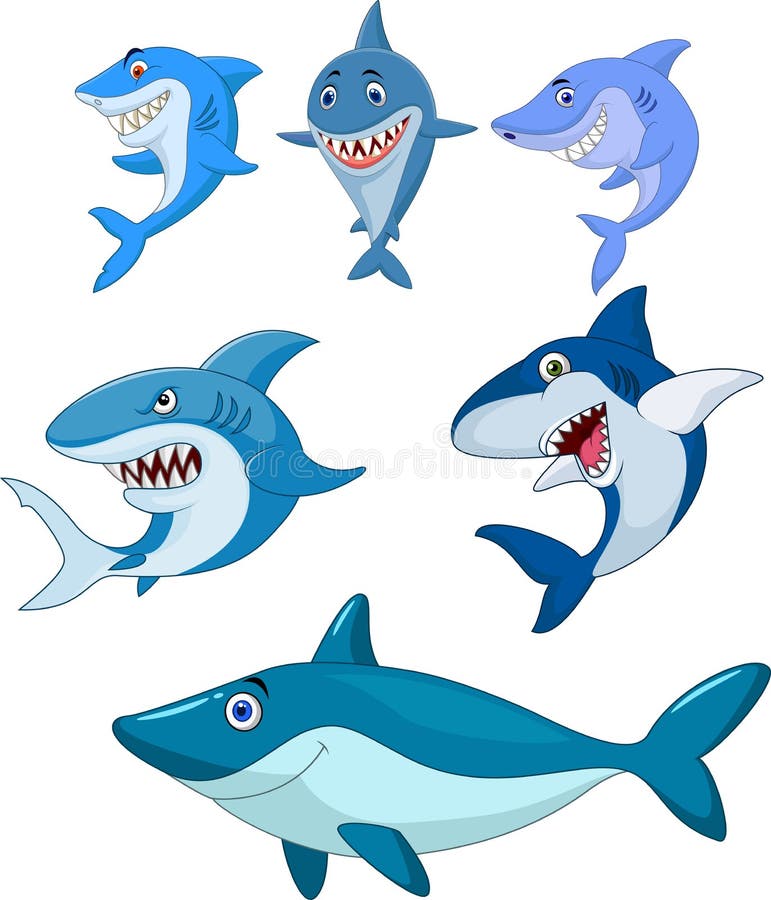 Illustrator Parts of Sharks Stock Vector - Illustration of nostril ...