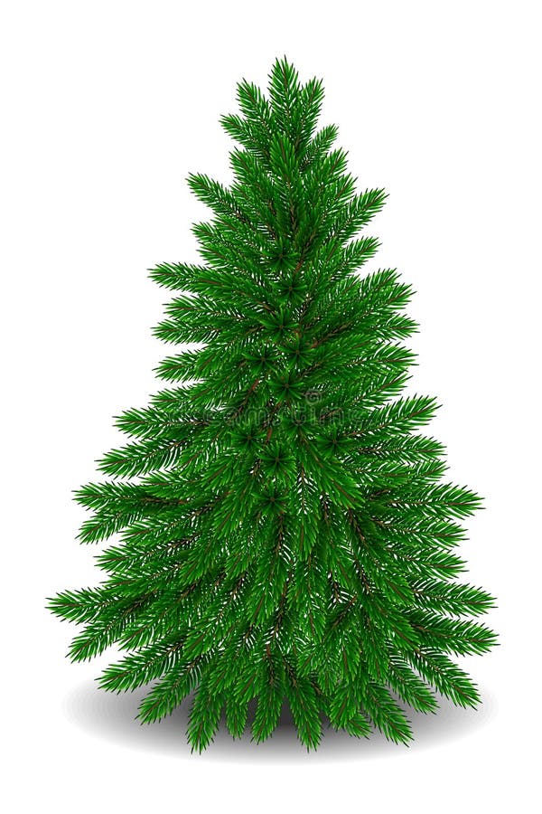 Realistic Christmas tree. Vector vector illustration