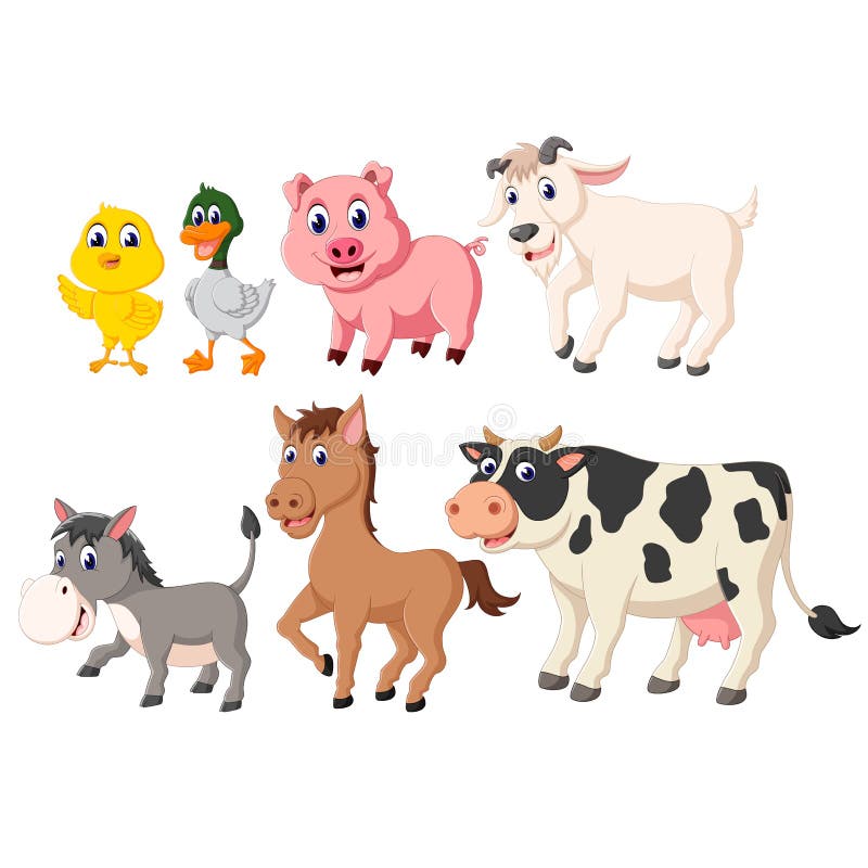 The Collection of the Livestock Animals with the Different Species Stock  Vector - Illustration of duck, mammal: 127077965