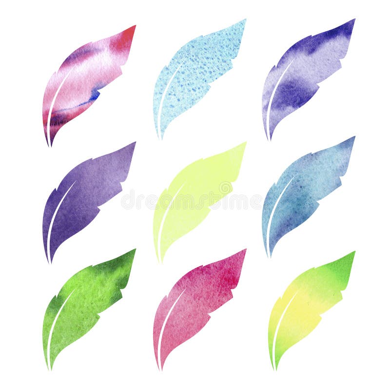 Watercolor feathers set. Hand drawn illustration with colorful feathers and white background. Design for paper, textile, backdrop