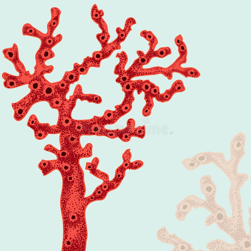 Illustration of coral