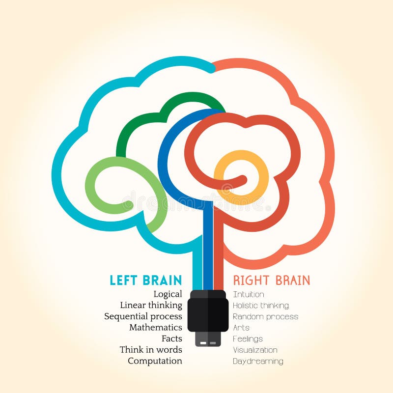 Illustration créative de concept de fonction de gauche à droite de cerveau