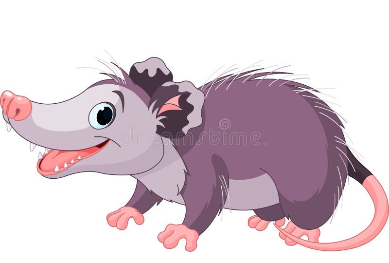 Opossum stock vector. Illustration of mammal, smiling - 30111976