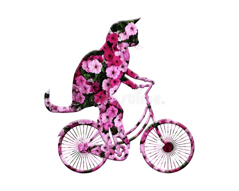 An illustration of a cute cat riding a bike in a floral pattern on a white background