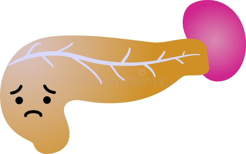 Illustration of a cute Gradation pancreas and spleen stock illustration