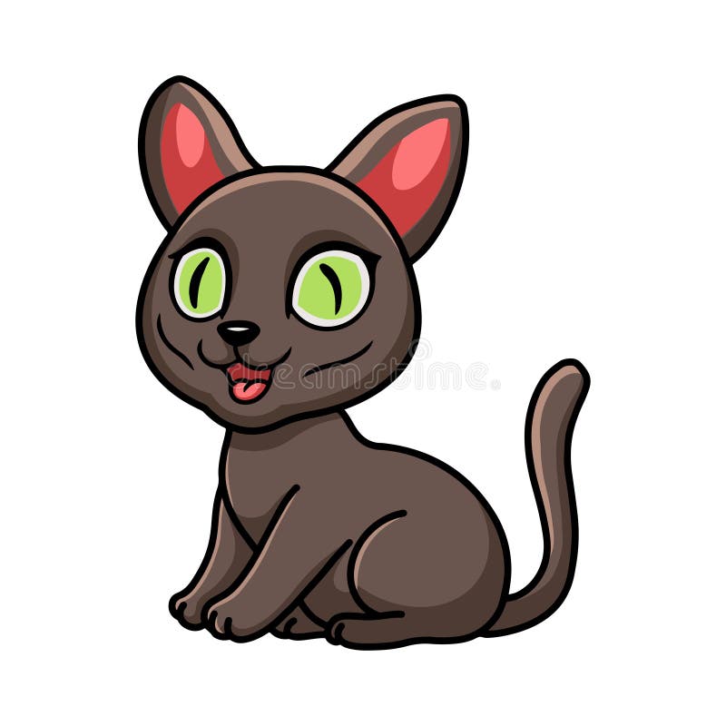 Korat Cat Cat Breed Face Cartoon Flat Icon Design Stock Illustration -  Download Image Now - 2015, Animal, Animal Body Part - iStock