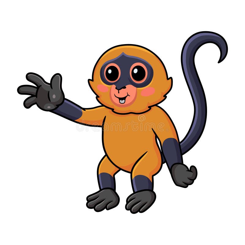 Spider Monkey Clipart