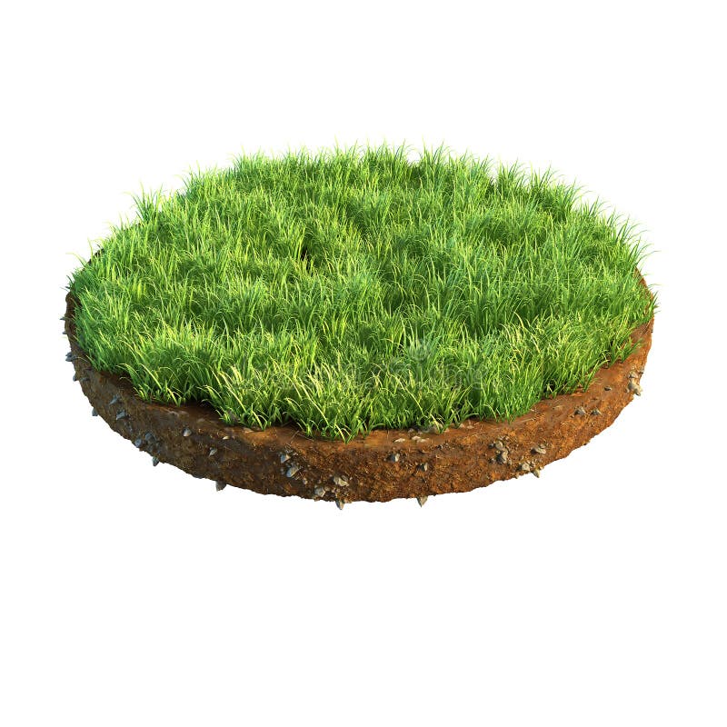 Cross section of ground with grass isolated on white. 3d illustration. Cross section of ground with grass isolated on white. 3d illustration