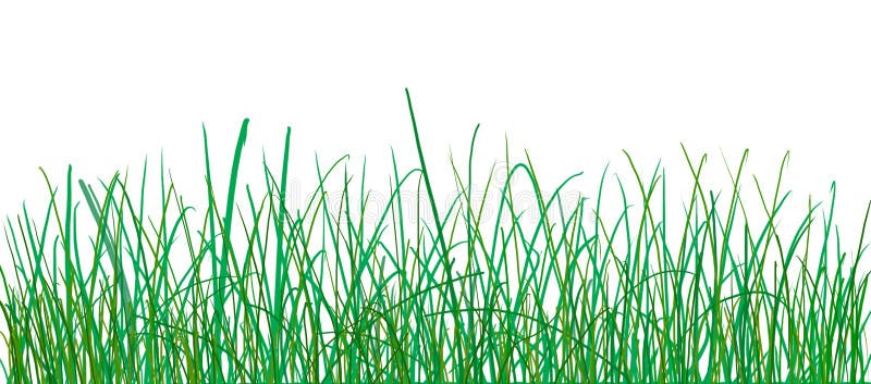 Illustration d'herbe illustration libre de droits Illustration d'herbe illustration libre de droits