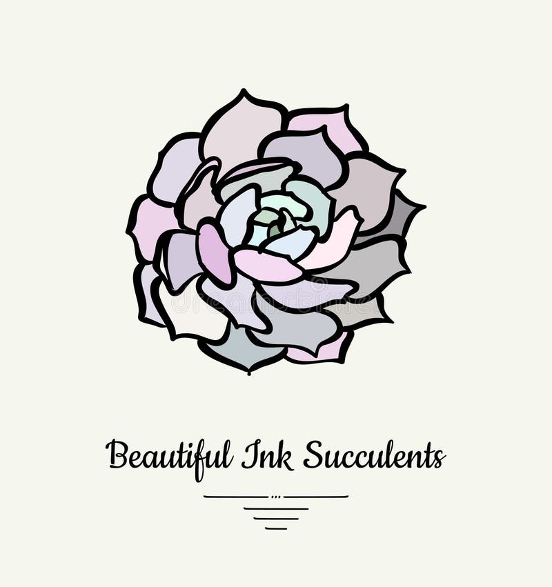 Illustration d'isolement par vecteur succulent tir? par la main d'Echeveria Logo succulent d'usine d'encre moderne, ic?ne, affich illustration libre de droits Illustration d'isolement par vecteur succulent tir? par la main d'Echeveria Logo succulent d'usine d'encre moderne, ic?ne, affich illustration libre de droits