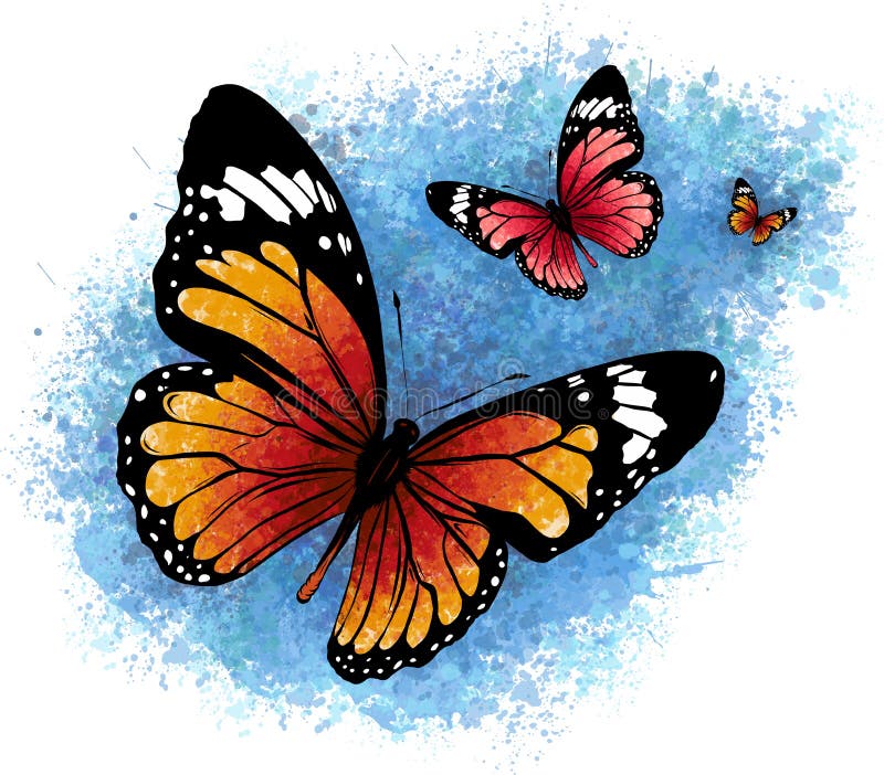 Illustration d'un beau papillon coloré qui vole illustration libre de droits Illustration d'un beau papillon coloré qui vole illustration libre de droits