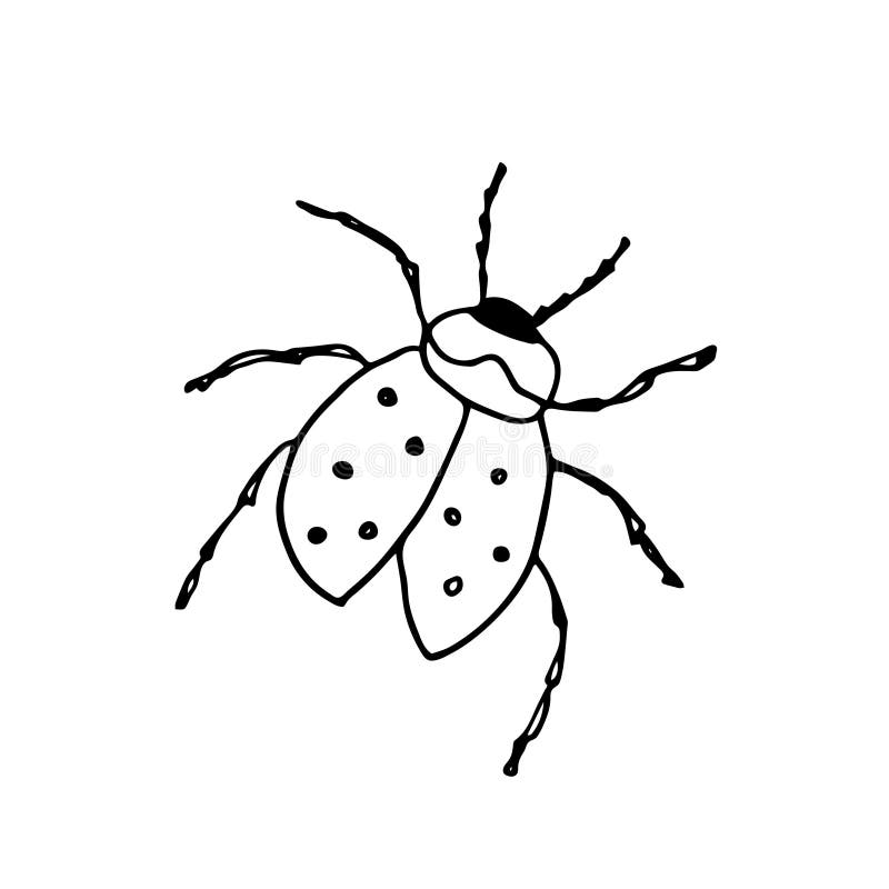 Illustration d'un insecte ladybugvector. Un croquis de style scribble. Objet isolé sur fond blanc. Coccinelle. Illustration de vecteur d'un insecte. Objet isolé sur un dessin blanc de la faune backgroundink. Pour les enfants des colorants.