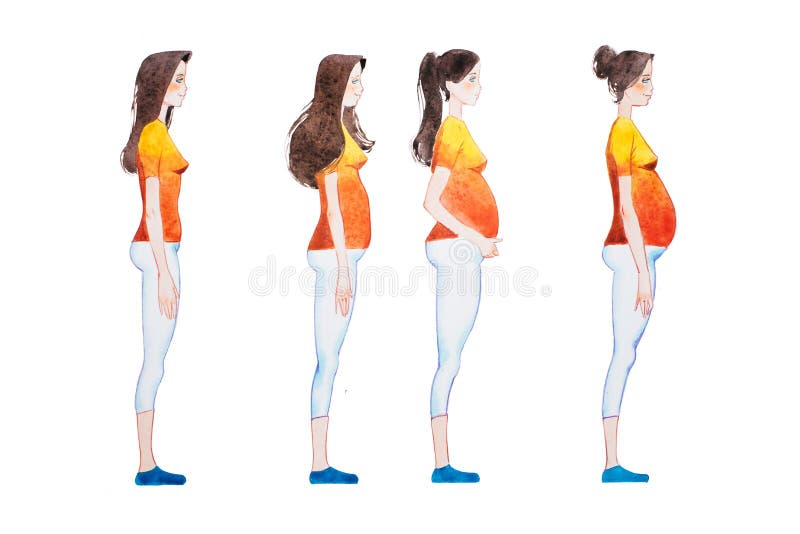 Illustration de bande dessinée des étapes de grossesse L'image de vue de côté de l'apparence de femme enceinte change dans son co illustration de vecteur