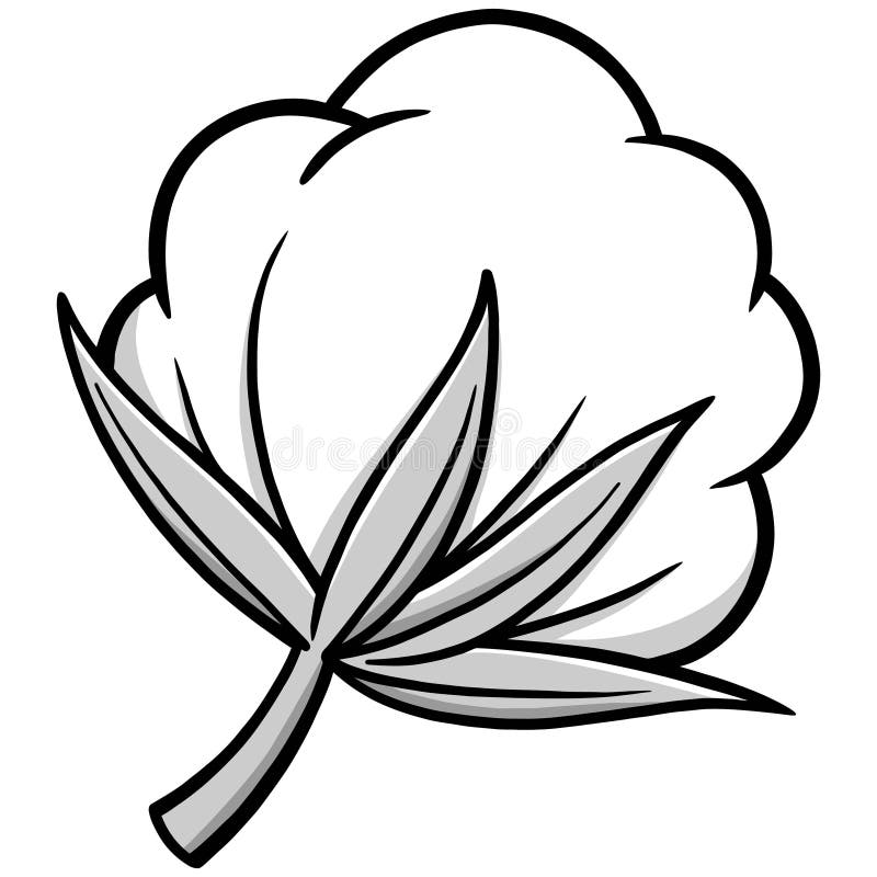 Fleur de coton illustration de vecteur. Illustration du douceur 53833680