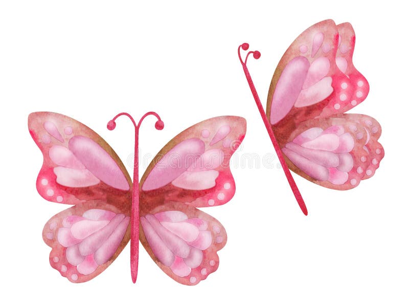 Illustration de l'aquarelle. papillon jaune rose peint à la main avec ailes étalées. papillon de la nature. isolé sur blanc illustration libre de droits