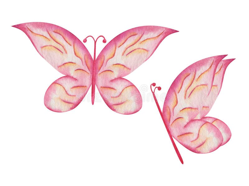 Illustration de l'aquarelle. papillon jaune rose peint à la main avec des antennes d'ailes ornées étalées. papillon de la nature illustration de vecteur