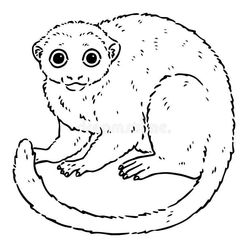 Illustration de ligne de mignon singe nocturne illustration de vecteur