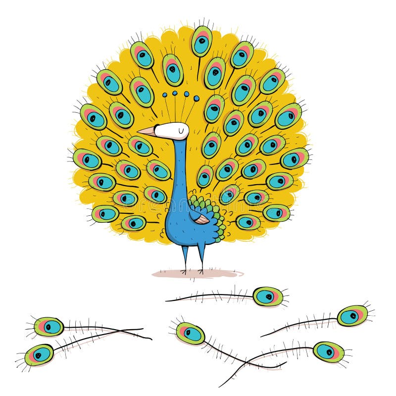 Peacock illustration with  feathers. Cartoon set isolated. EPS10 vector file. Peacock illustration with  feathers. Cartoon set isolated. EPS10 vector file