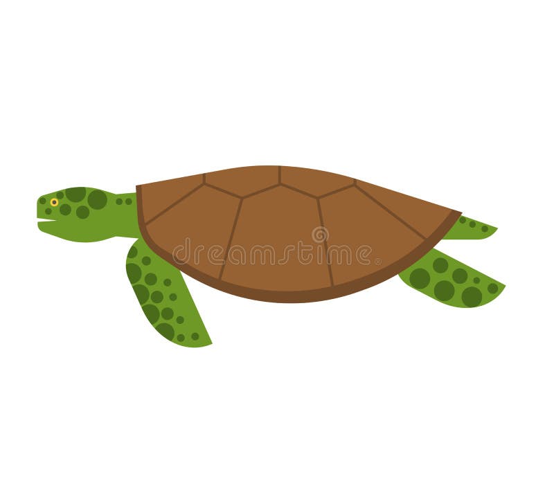 Illustration de tortue de mer illustration de vecteur Illustration de tortue de mer illustration de vecteur
