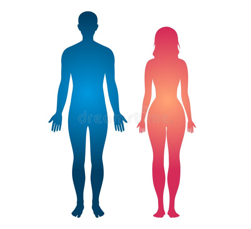 Illustration de vecteur d'homme de silhouette de corps humain et de corps de femmes