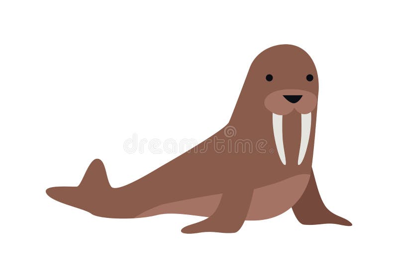Illustration de vecteur de morse dans la conception plate illustration stock Illustration de vecteur de morse dans la conception plate illustration stock