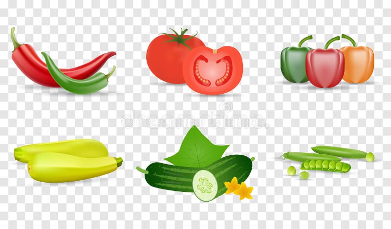 Illustration de vecteur r?gl?e par l?gumes Tomate, cosse verte de concombres, de poivrons, de zukini et de pois Ensemble d'isolem illustration de vecteur Illustration de vecteur r?gl?e par l?gumes Tomate, cosse verte de concombres, de poivrons, de zukini et de pois Ensemble d'isolem illustration de vecteur