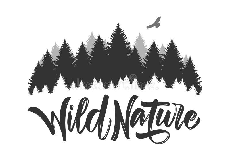 Illustration de vecteur : Type tiré par la main lettrage de nature sauvage avec la silhouette de la forêt et du faucon de pin illustration stock Illustration de vecteur : Type tiré par la main lettrage de nature sauvage avec la silhouette de la forêt et du faucon de pin illustration stock