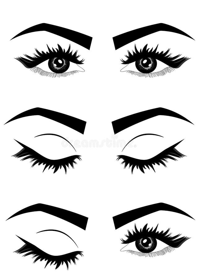 Illustration de Web de l'oeil luxueux sexy de la femme avec des sourcils et de pleines mèches typographie illustration libre de droits Illustration de Web de l'oeil luxueux sexy de la femme avec des sourcils et de pleines mèches typographie illustration libre de droits