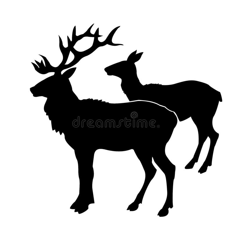 Illustration of the deers