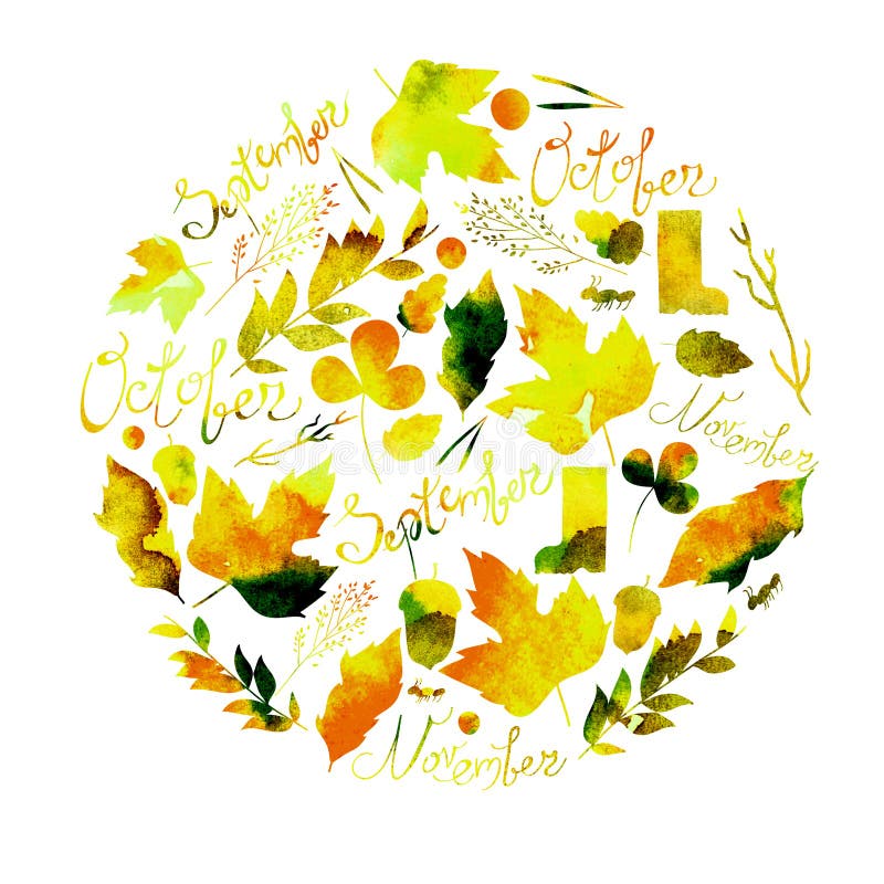 Illustration Depicting a Set of Leaves, Twigs, Berries, Flowers, Autumn ...