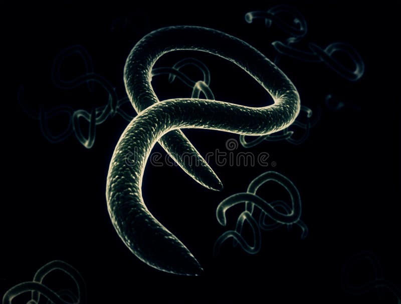 Illustration des cellules 3d de virus Ebola illustration libre de droits Illustration des cellules 3d de virus Ebola illustration libre de droits