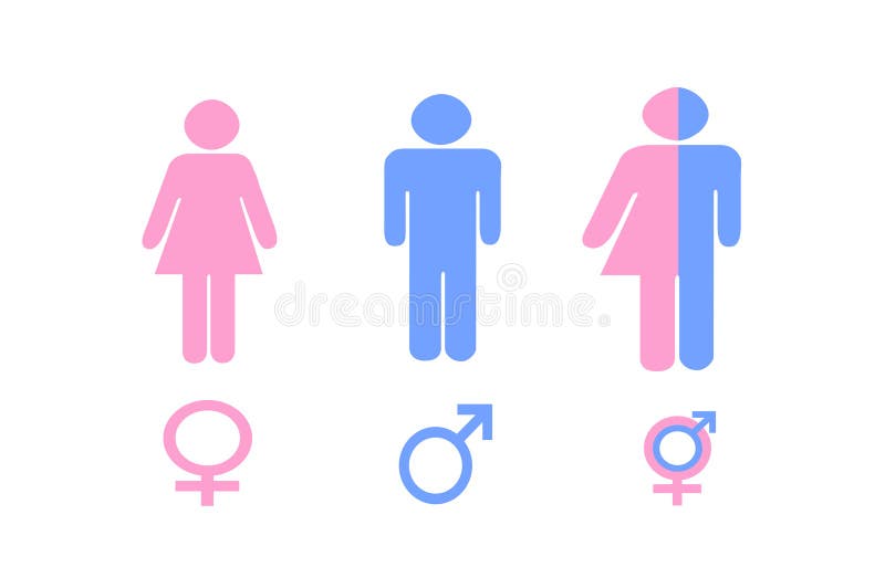 Illustration des Geschlechtes unterzeichnet herein Rosa und Blau vektor abbildung Illustration des Geschlechtes unterzeichnet herein Rosa und Blau vektor abbildung