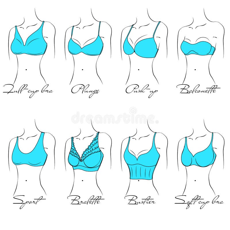 Woman Panties Models and Types of Clothes Vector Stock Vector -  Illustration of type, foldover: 234759098