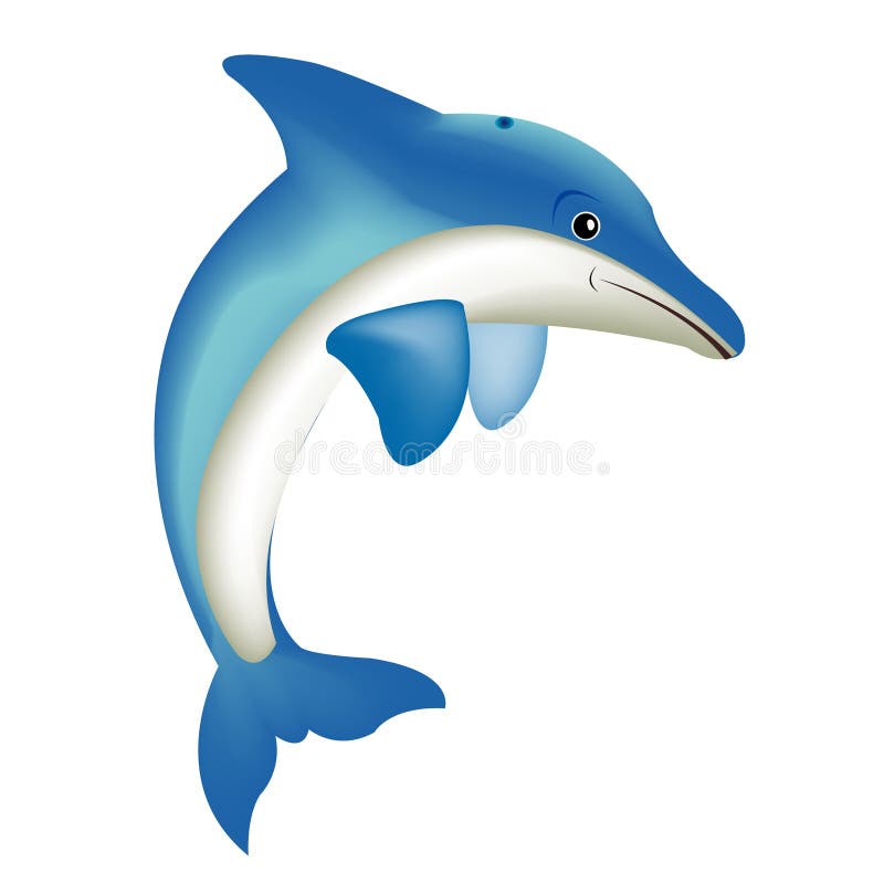 Illustration of the dolphin