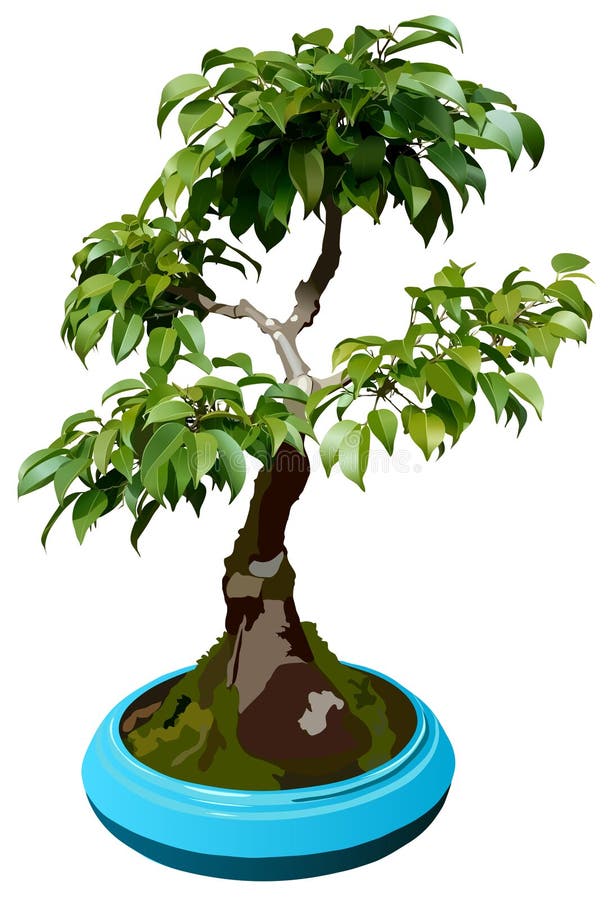 Illustration of dwarf tree