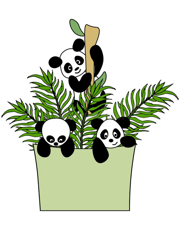 Three Pandas Stock Illustrations – 86 Three Pandas Stock Illustrations,  Vectors & Clipart - Dreamstime
