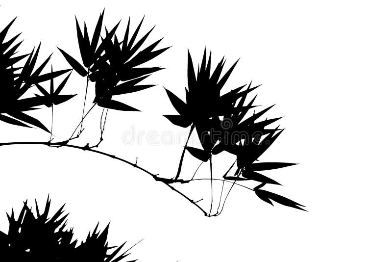 Illustration en bambou illustration de vecteur Illustration en bambou illustration de vecteur