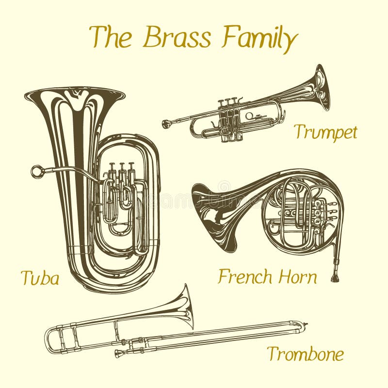 Vector illustration of hand drawn brass family instruments. Beautiful ink drawing of tuba, trumpet, trombone and french horn. Vector illustration of hand drawn brass family instruments. Beautiful ink drawing of tuba, trumpet, trombone and french horn.