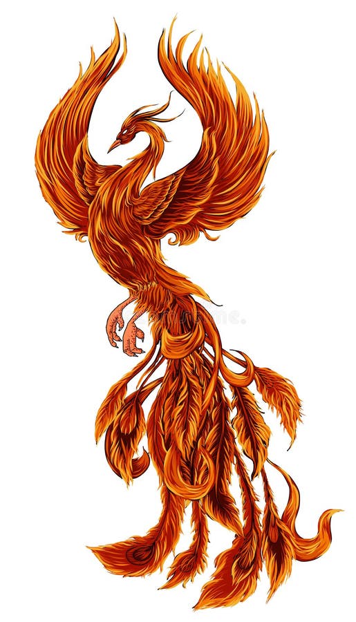 Illustration et conception de personnages d'oiseau du feu de Phoenix Tatouage tiré par la main de Phoenix