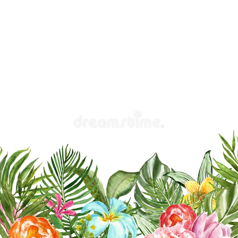Illustration florale tropicale d'aquarelle avec la palmette, les fleurs et le feuillage exotique vert Bannière d'été pour la conc illustration libre de droits Illustration florale tropicale d'aquarelle avec la palmette, les fleurs et le feuillage exotique vert Bannière d'été pour la conc illustration libre de droits