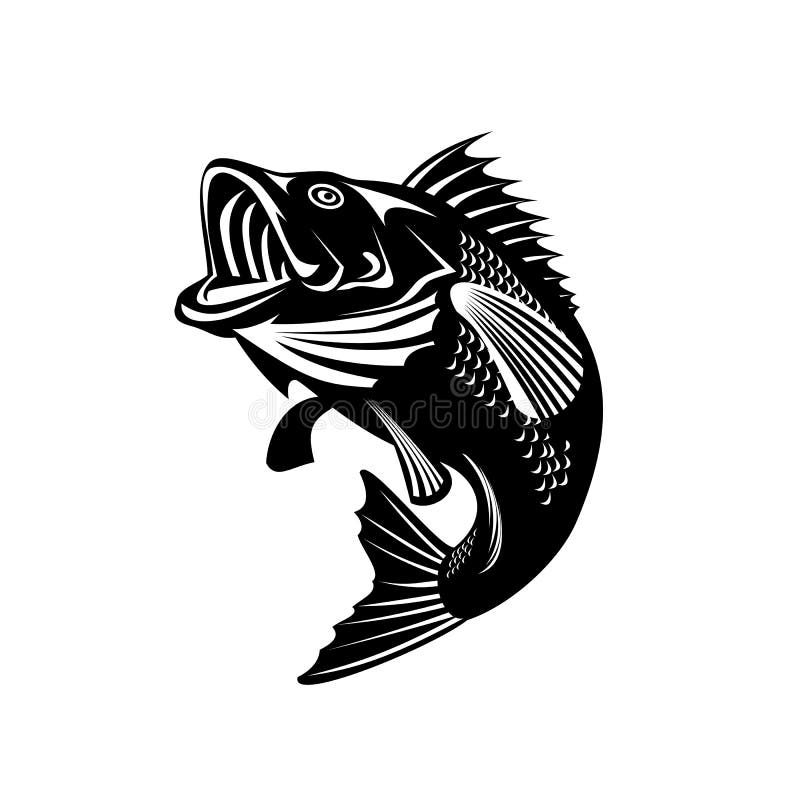 Largemouth Bass Drawing Black And White