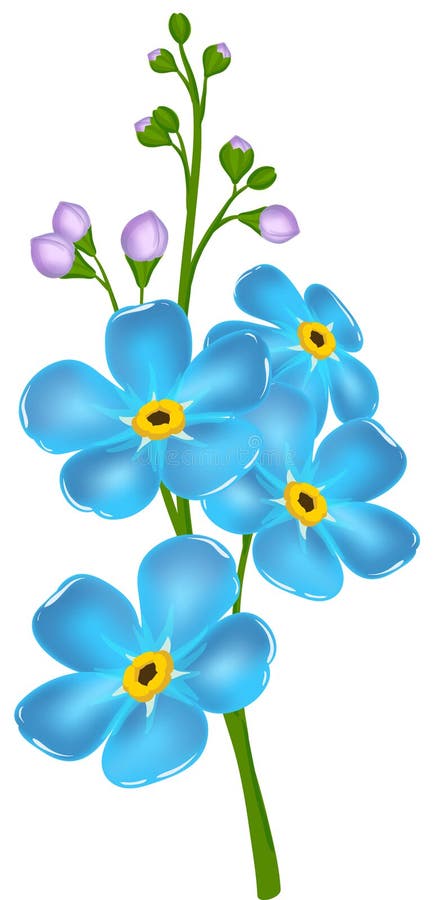 Forget Me Not Flower Stock Illustrations – 4,121 Forget Me Not Flower Stock  Illustrations, Vectors & Clipart - Dreamstime