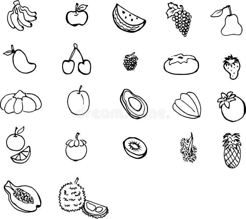 Line Art Fruits : Illustration fruits line art black and white stock