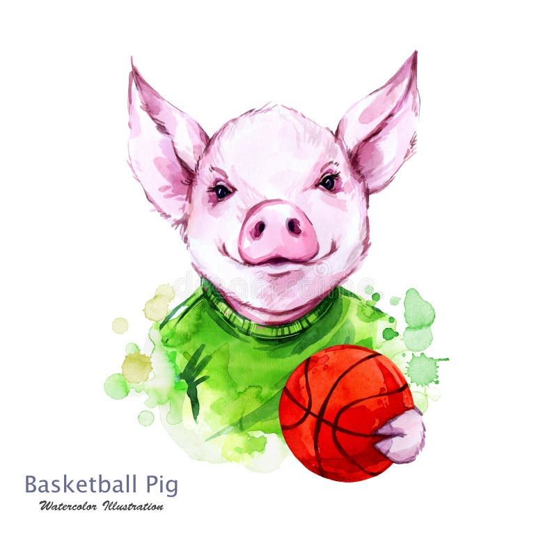 Illustration för sommarferier Vattenfärgtecknad filmsvin med den orange bollen Rolig baskeballspelare sport Symbol av 2019 royaltyfri illustrationer Illustration för sommarferier Vattenfärgtecknad filmsvin med den orange bollen Rolig baskeballspelare sport Symbol av 2019 royaltyfri illustrationer