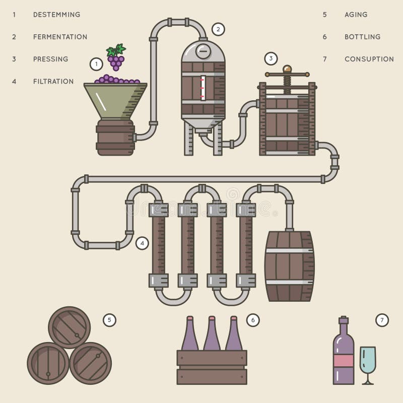 Illustration för vektor för för vindanandeprocess eller winemaking infographic royaltyfri illustrationer