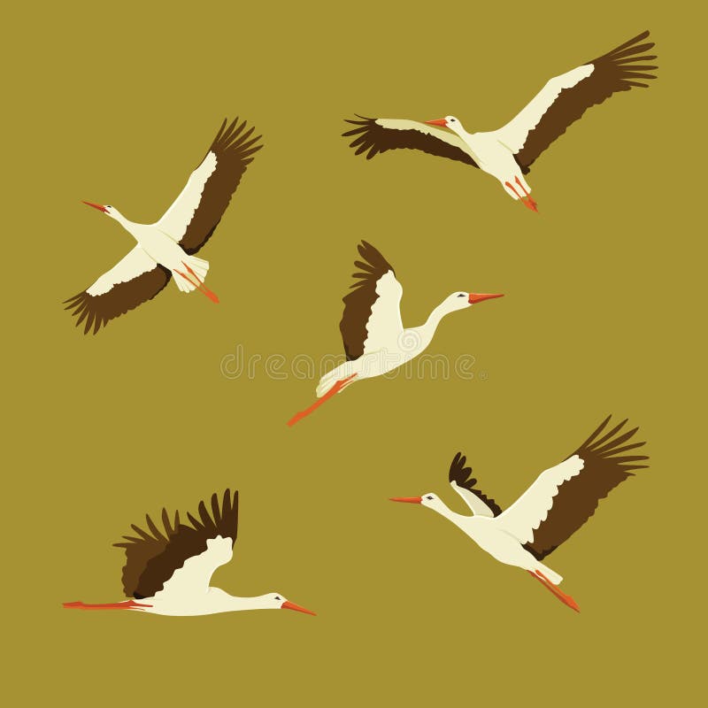 Illustration f?r vektor f?r storkfluga fastst?lld vektor illustrationer Illustration f?r vektor f?r storkfluga fastst?lld vektor illustrationer