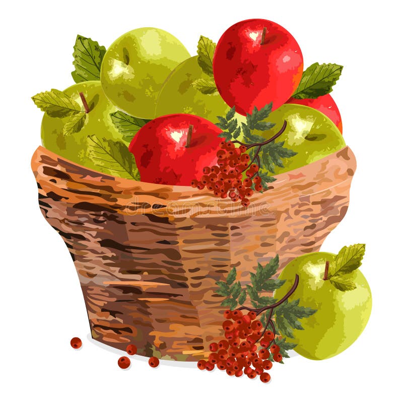 Illustration för vektor för äpplevattenfärgkorg Röda och gröna äpplen i en träkorg Mallar för nedgångsäsong royaltyfri illustrationer Illustration för vektor för äpplevattenfärgkorg Röda och gröna äpplen i en träkorg Mallar för nedgångsäsong royaltyfri illustrationer